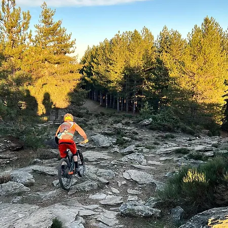 Nid Au Pied Du Mont Caroux *