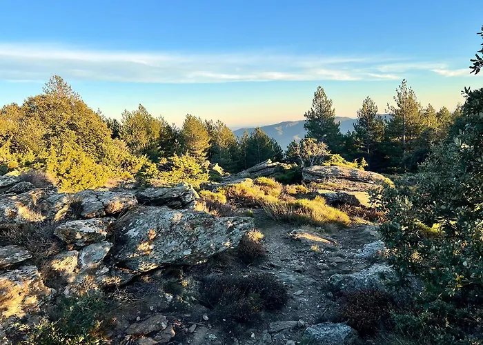 Nid Au Pied Du Mont Caroux Apartament *