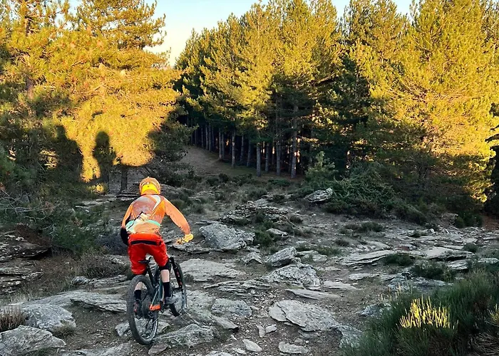 Nid Au Pied Du Mont Caroux *
